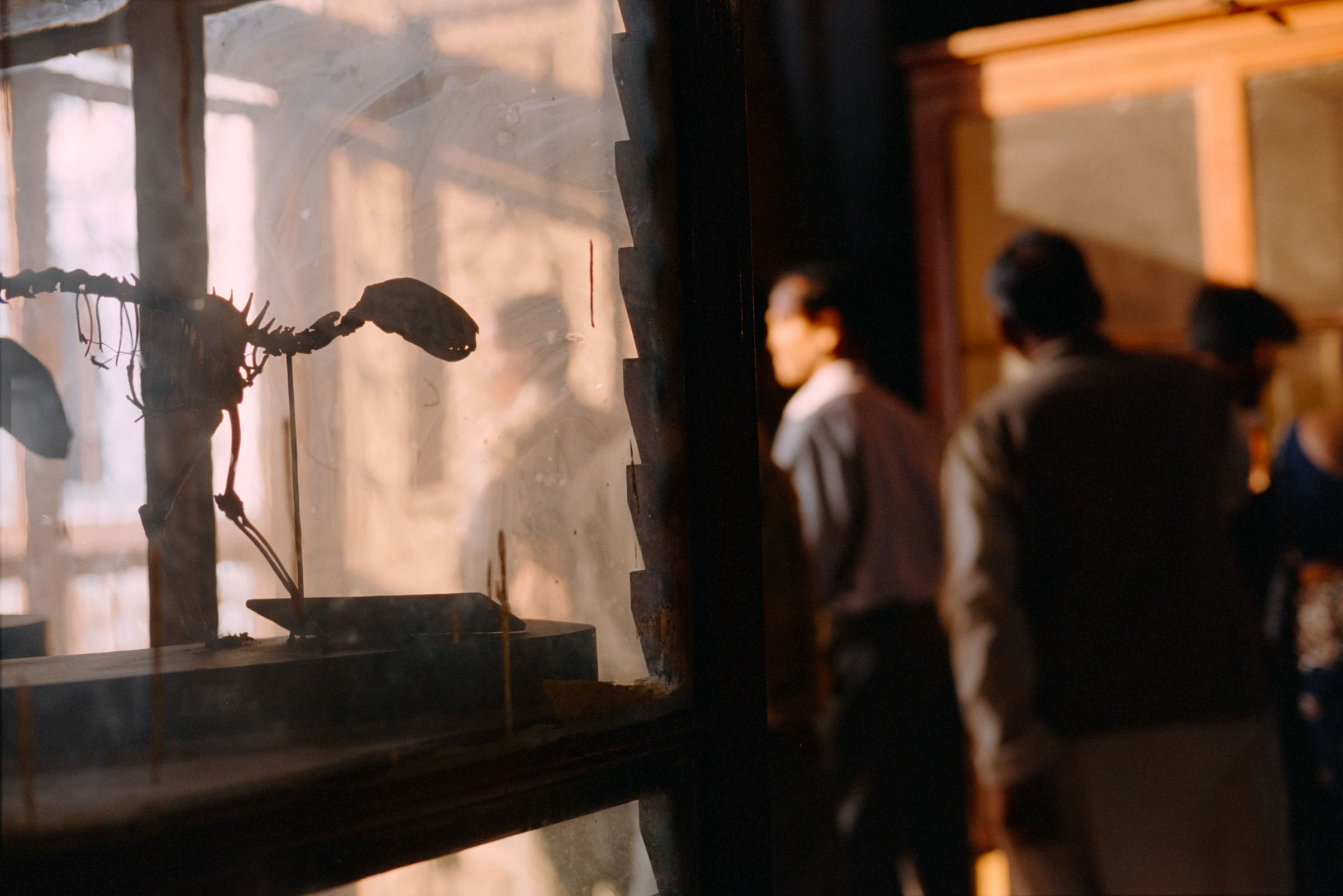 AHP film 2005 01 001 sc240825 img24 NLP